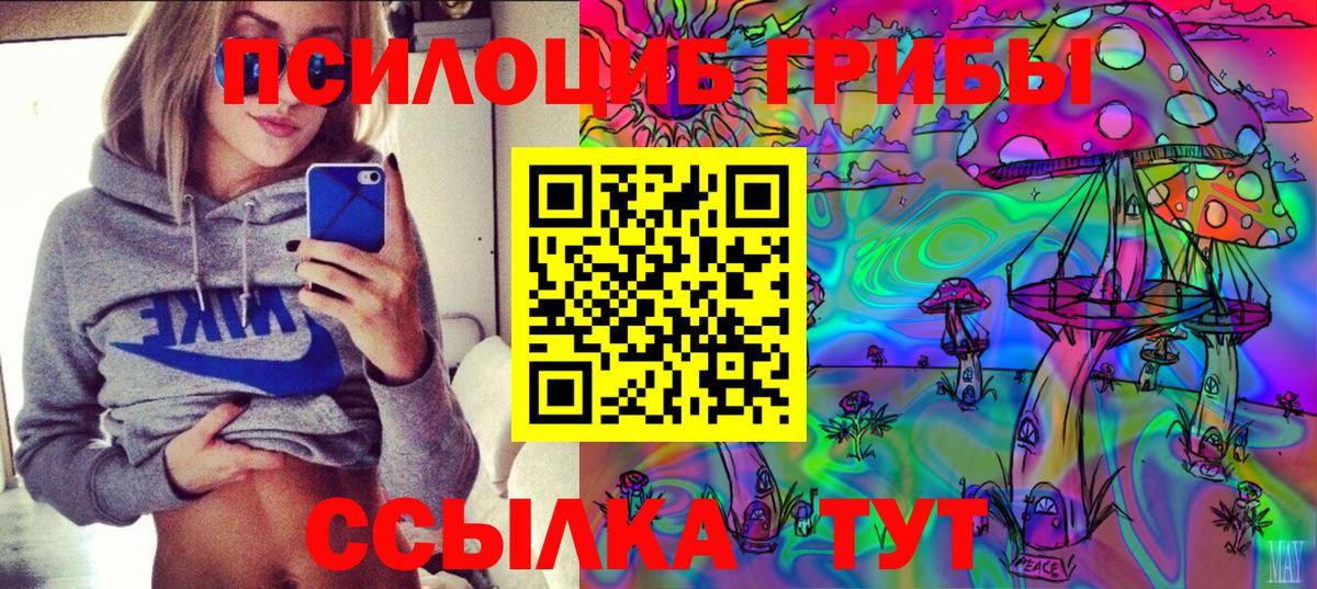 Псилоцибиновые грибы Psilocybe  Галлюциногенные грибы Cubensis  дарнет шоп  Гудермес  Вход с VPN 